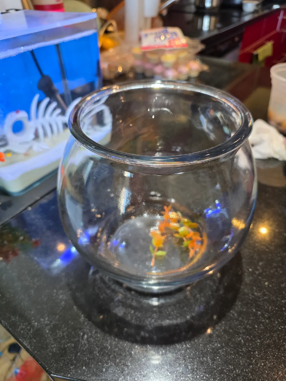 Small Glass Fish Bowl image indicator(3)