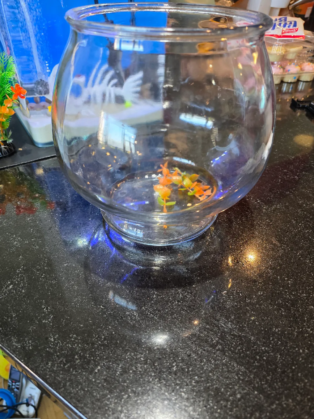 Small Glass Fish Bowl image indicator(8)