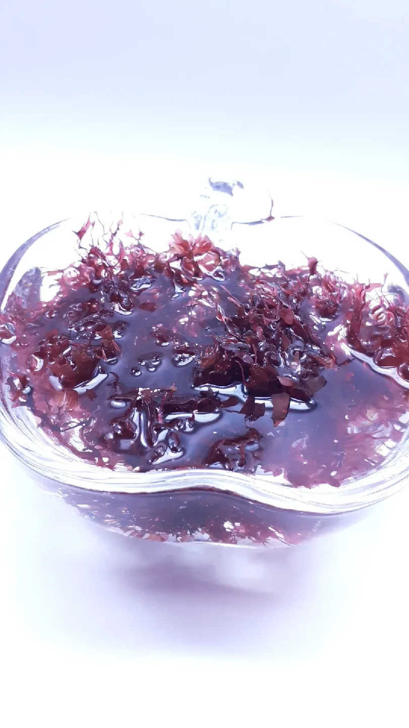 Red Seaweed, Dragon breath macroalgae image indicator(2)