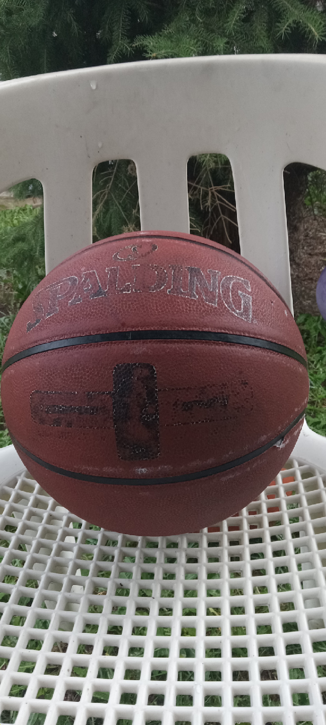 Spalding NBA Basketball
