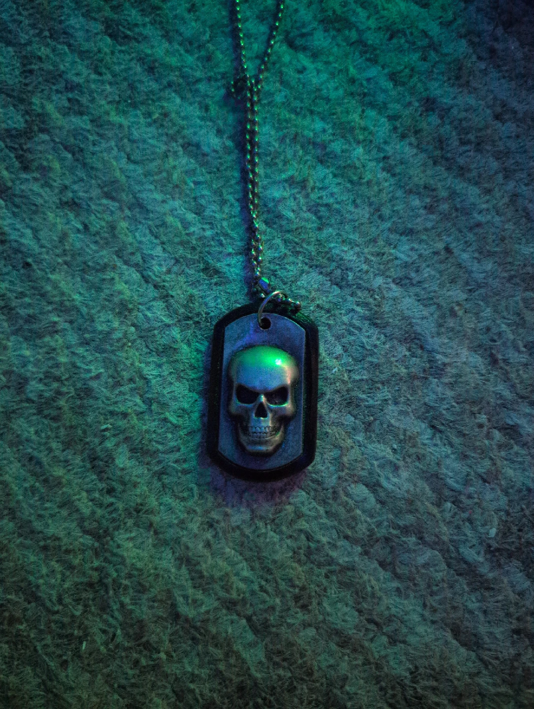 Skull Dog Tag Necklace