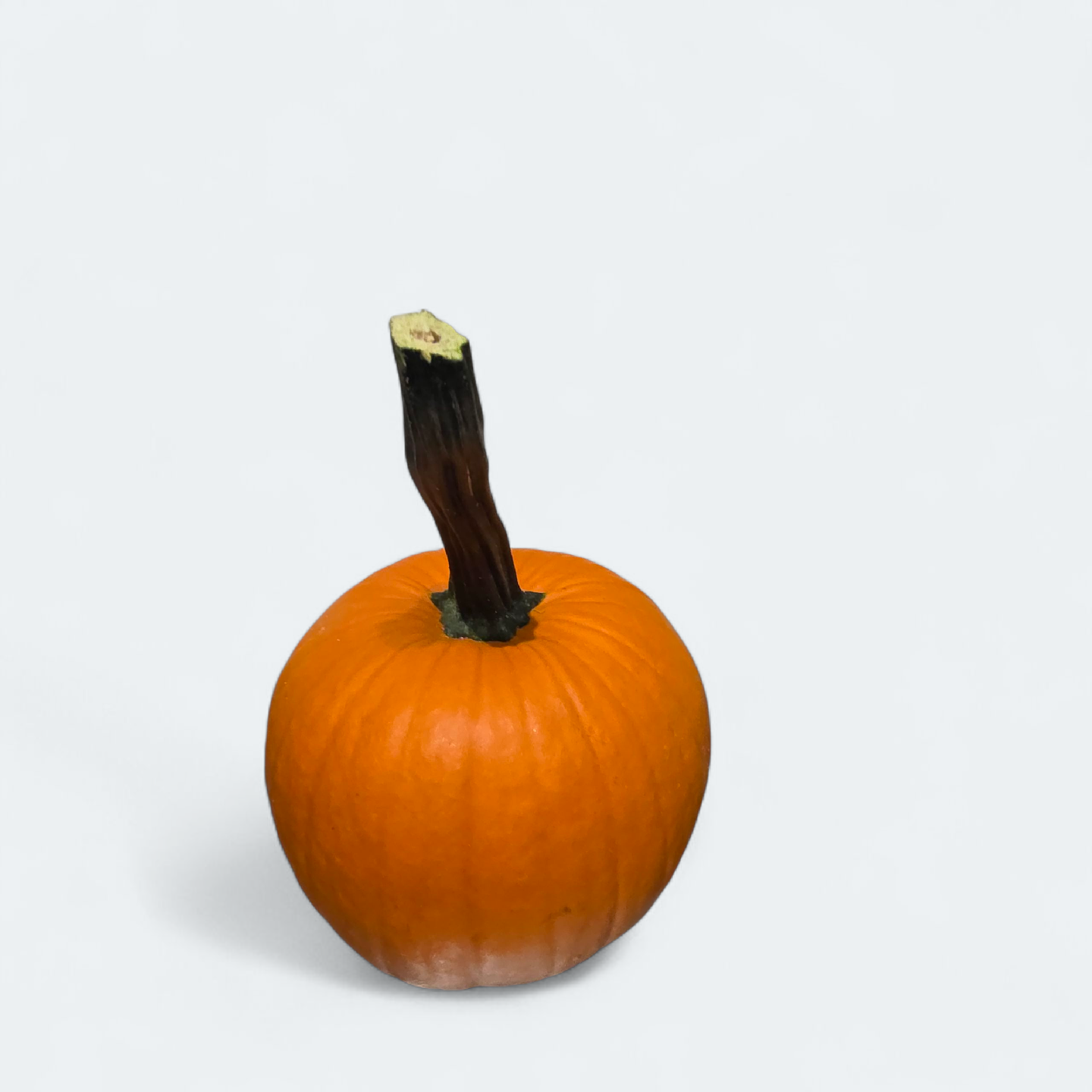 Pumpkin🧡