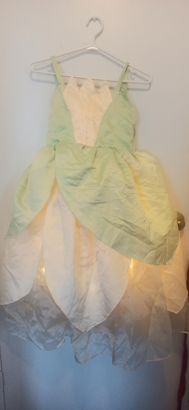 Tiana Princess and the Frog Dress.10-11yrs