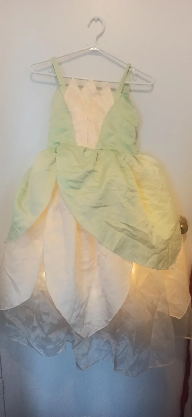 Tiana Princess and the Frog Dress.10-11yrs thumbnail