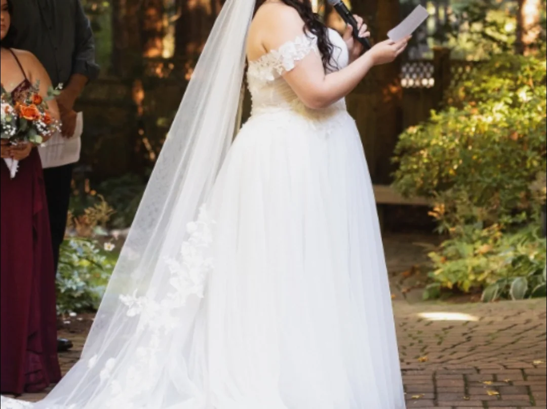 Wedding Dress image indicator(6)