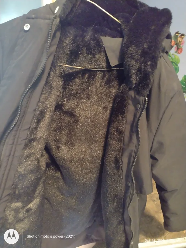 Ladies Black Fall/Winter Jacket with Fur Lining image indicator(2)