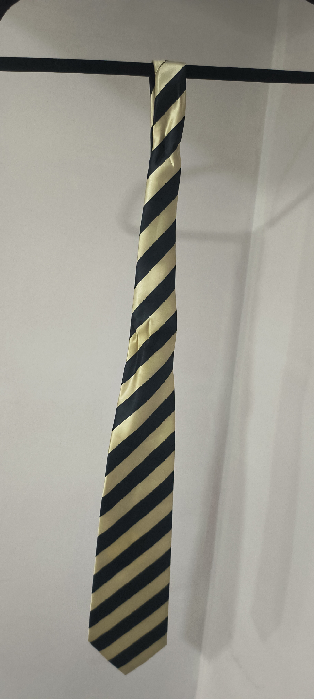 Santino Striped Tie - Black and Gold