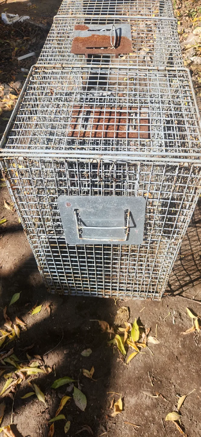 Havahart Easy Set Live Animal Cage Trap image indicator(5)