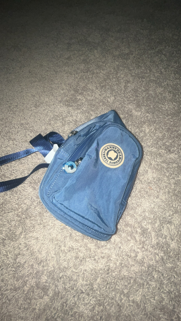 danny bear travel series sling bag