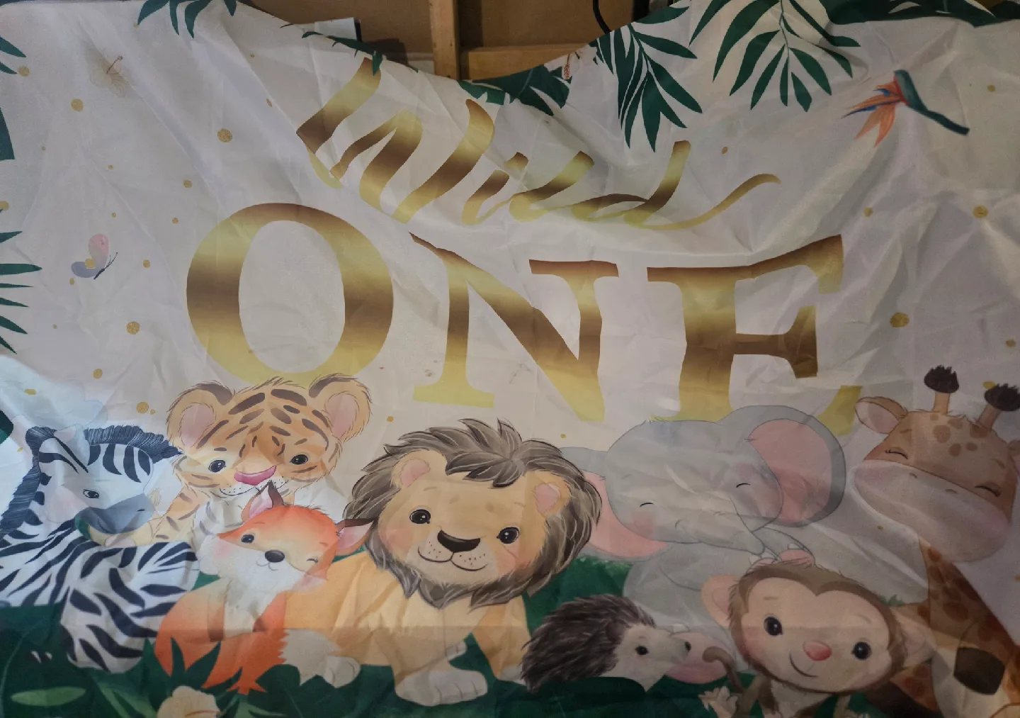 Wild One Outfit & Decorations image indicator(4)