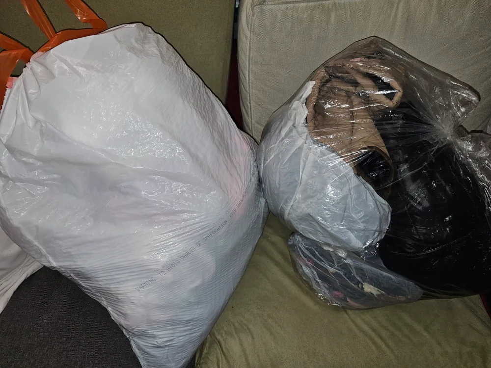 Free Pick Up Tomorrow image indicator(2)