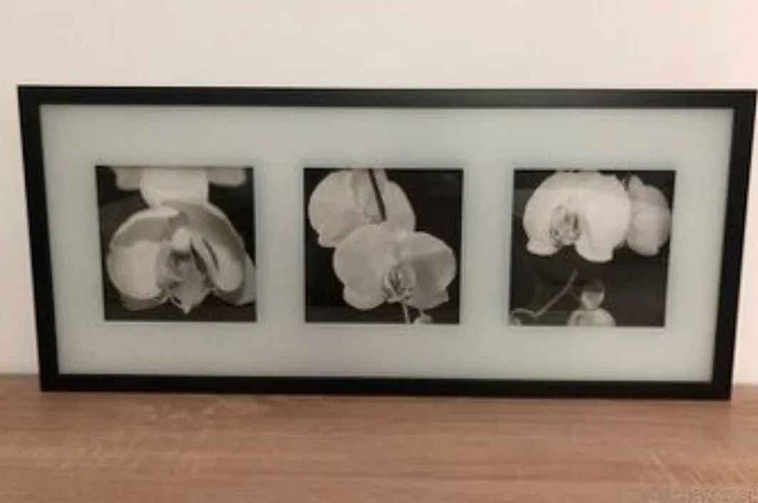 IKEA Black Framed Floral Triptych wooden Wall Art thumbnail