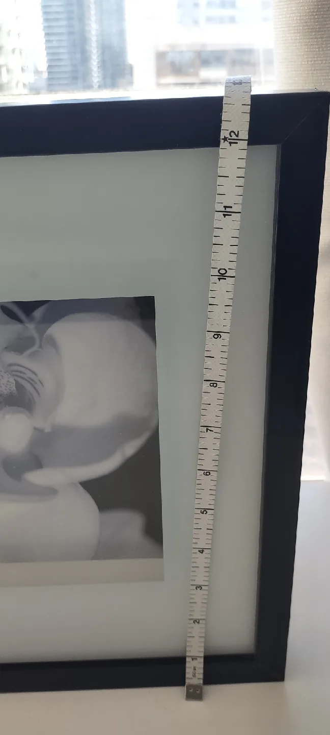 IKEA Black Framed Floral Triptych wooden Wall Art image indicator(3)