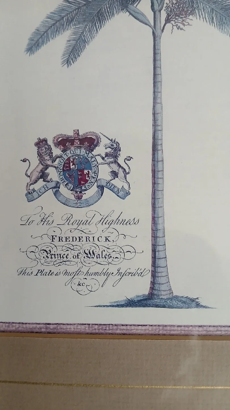 framed palm tree print for $10.00 image indicator(2)