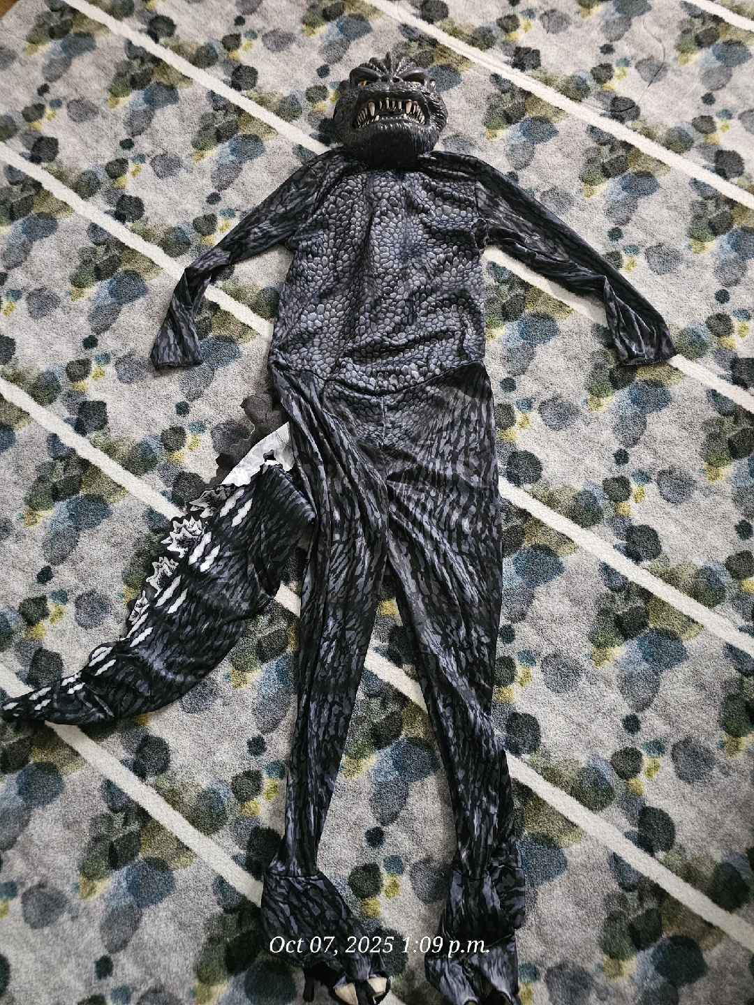 Godzilla Costume - Kids Size