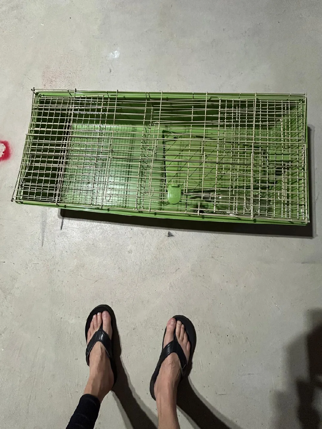 cage thumbnail