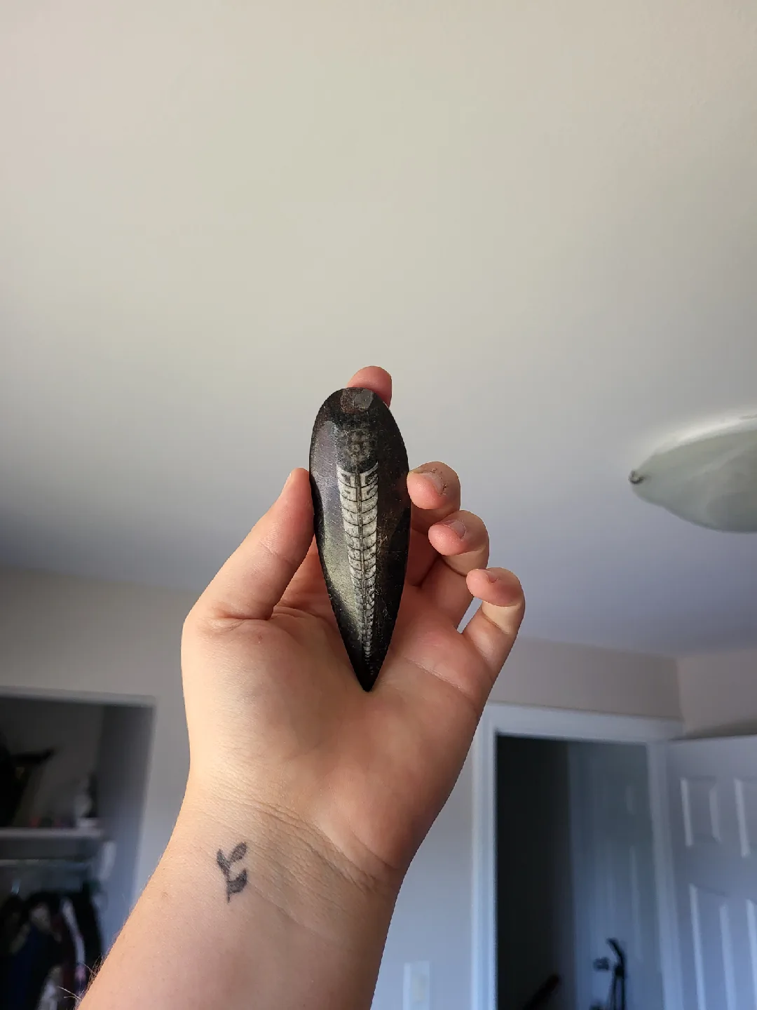 Assorted Crystals and Stones image indicator(4)