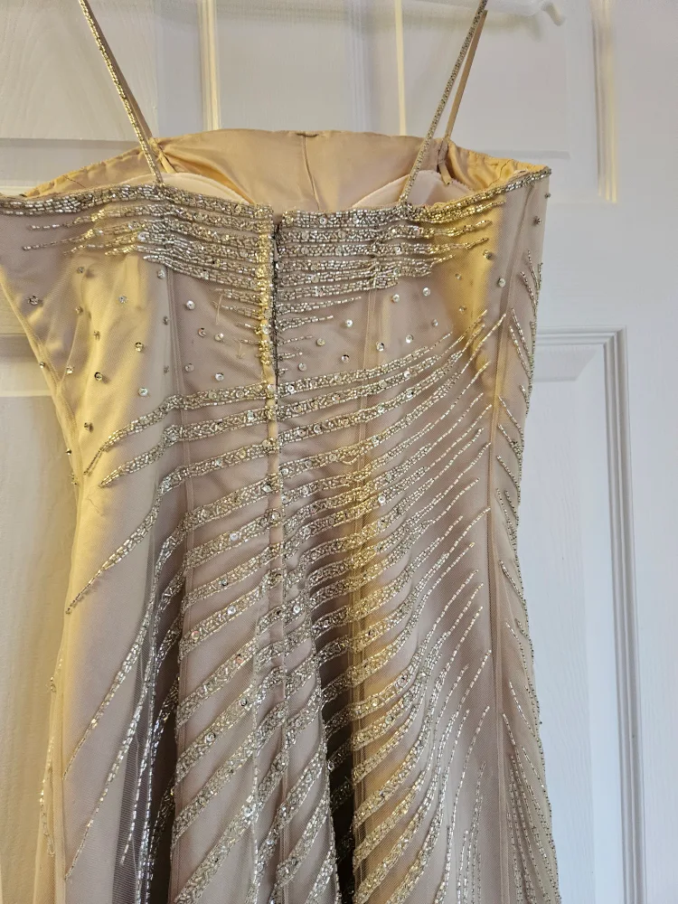 Beaded Evening Dress - Champagne image indicator(4)