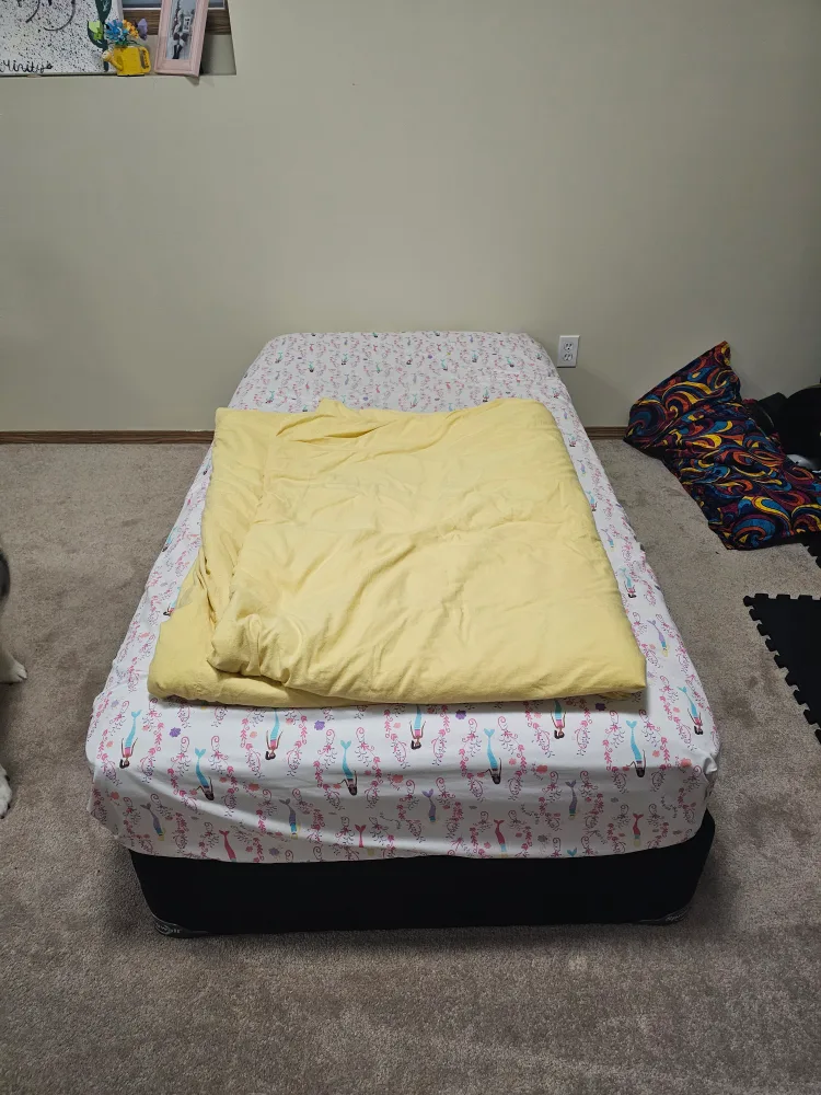 Twin Box spring, Mattress, Bedding