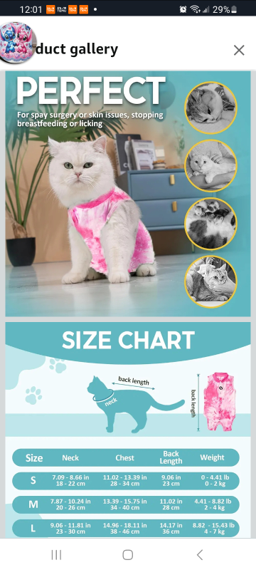 kitten surgical recovery bodysuit - photo 4