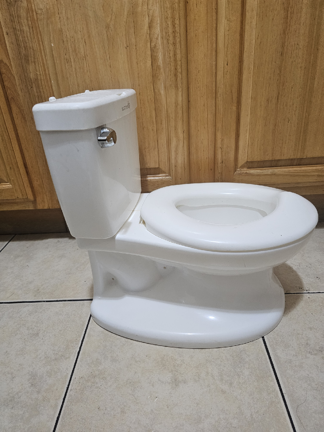 Summer Infant My Size Potty