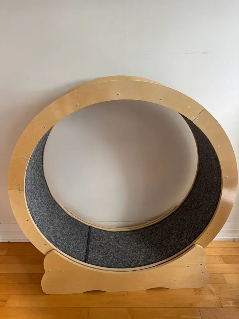 Cat Exercise Wheel - Size M image indicator(2)