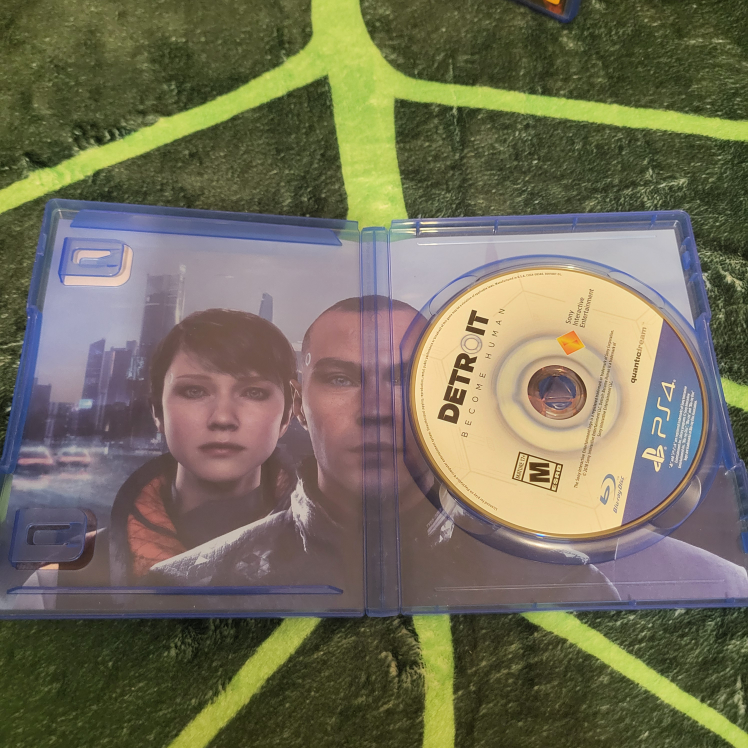 PS4 Games: Detroit Become Human, Fallout 4, Red Dead 2 - photo 2