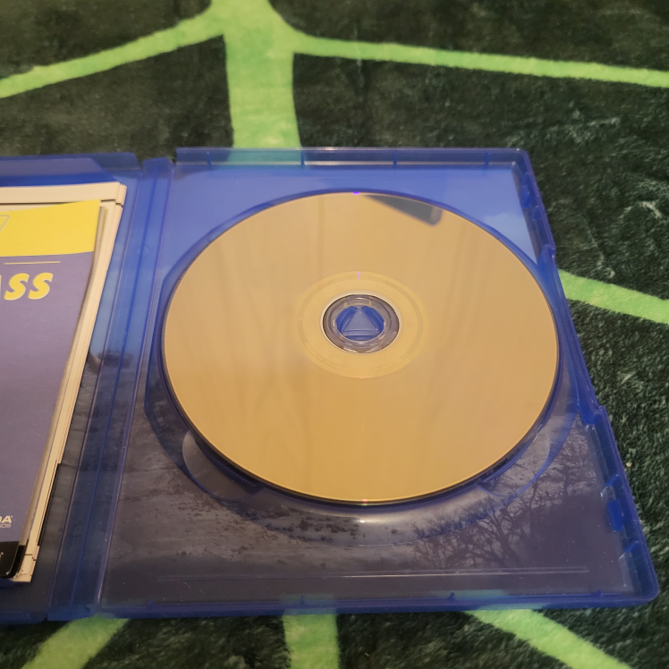 PS4 Games: Detroit Become Human, Fallout 4, Red Dead 2 - photo 5