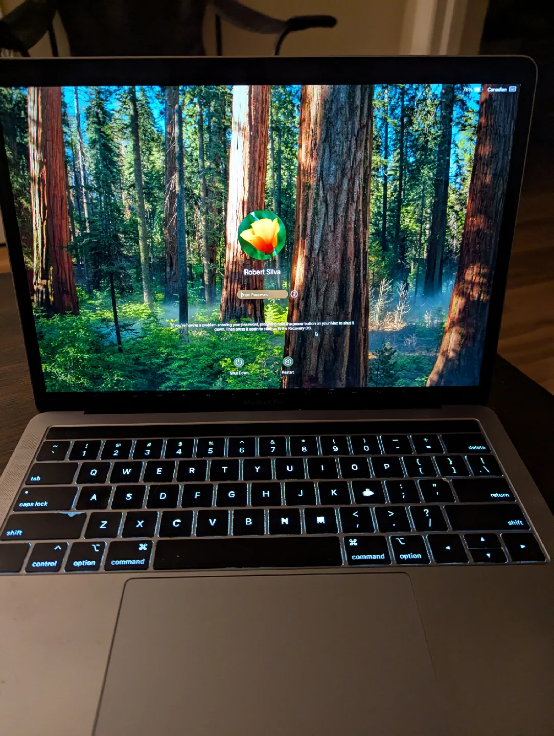 2019 13 inch MacBook pro good condition 16/256 gig thumbnail