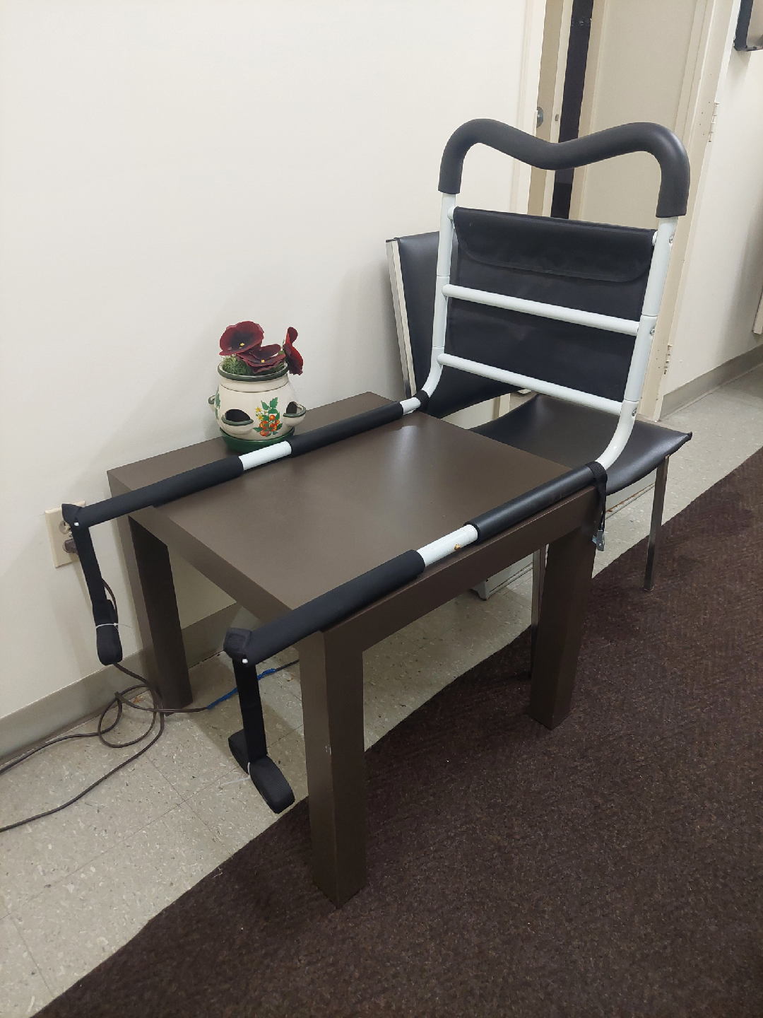 Avanti Bed Assist Bar