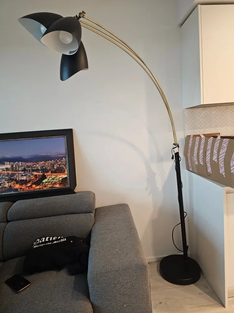 Black Arc Floor Lamp image indicator(2)