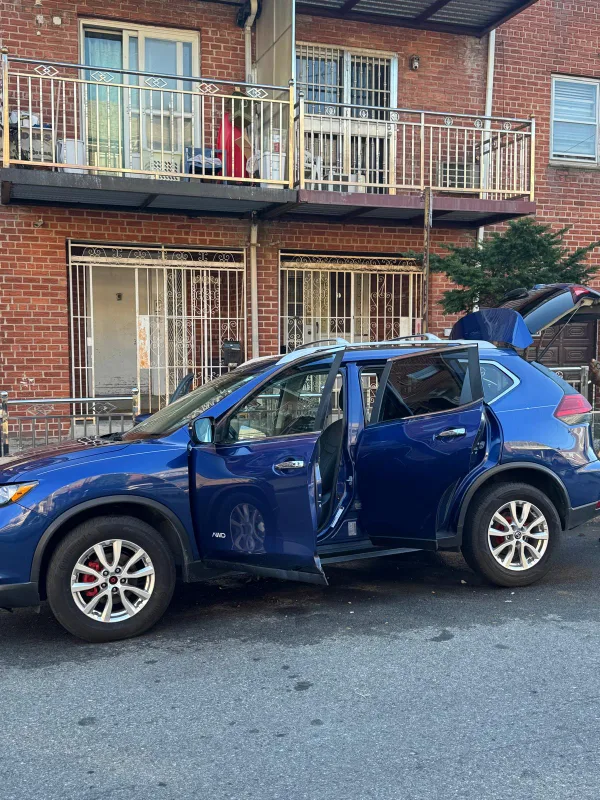 Nissan image indicator(6)