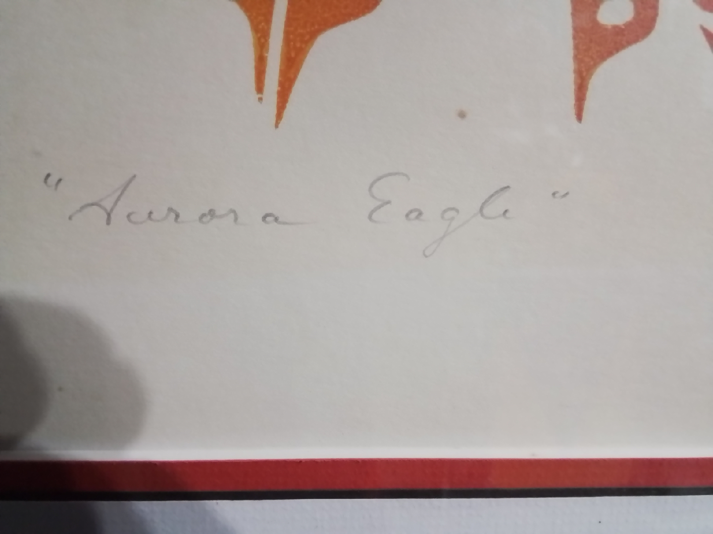 Framed 'Aurora Eagle' Art Print by Brisbane Gregg - photo 3