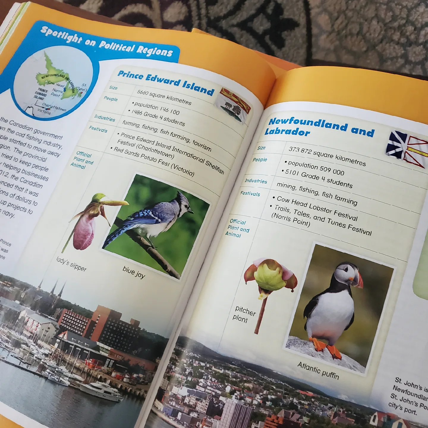 Nelson Social Studies Grade 4 & 6 Books image indicator(5)