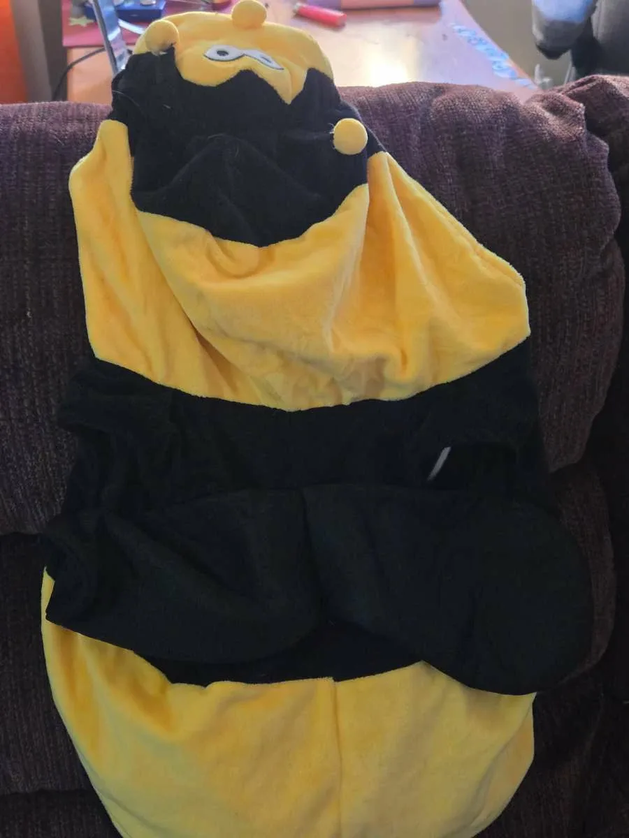 Bumble Bee Costume 3-6 mths image indicator(3)