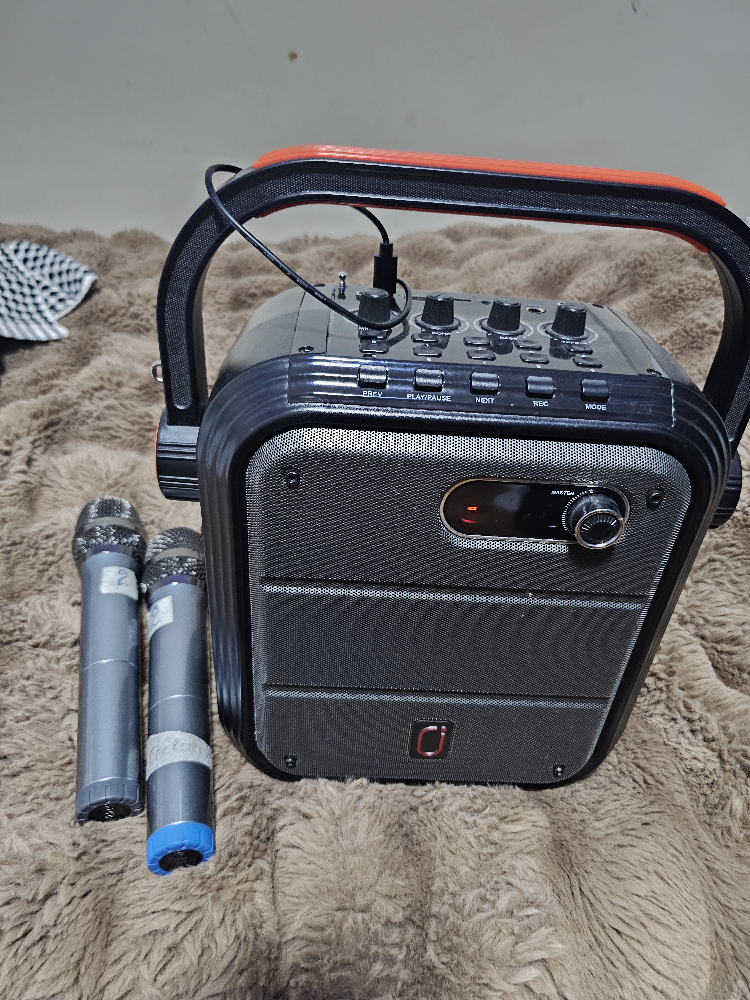 Portable Bluetooth Karaoke Speaker with 2 Mics