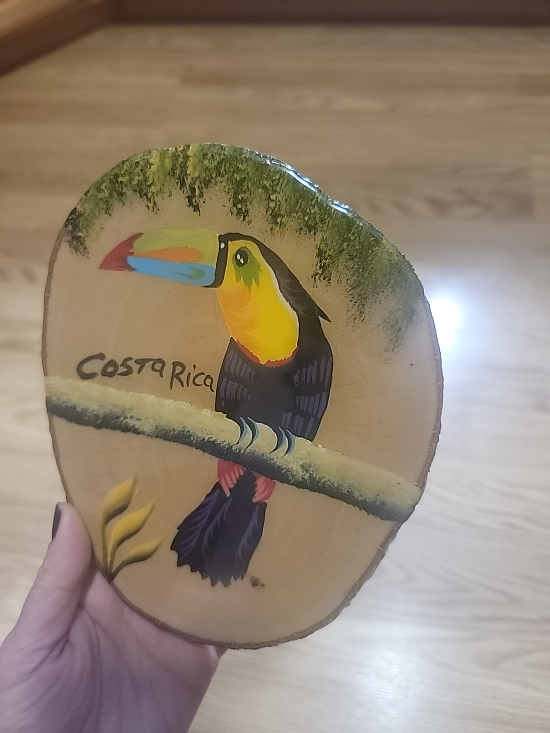 Costa Rica Toucan Wood Slice Art - photo 3