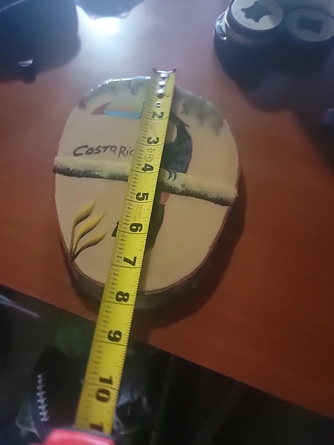 Costa Rica Toucan Wood Slice Art image indicator(4)