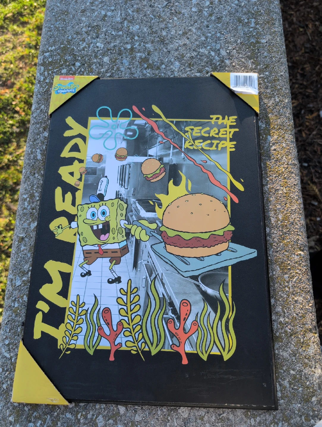 Spongebob Squarepants 'The Secret Recipe' Wall Decor
