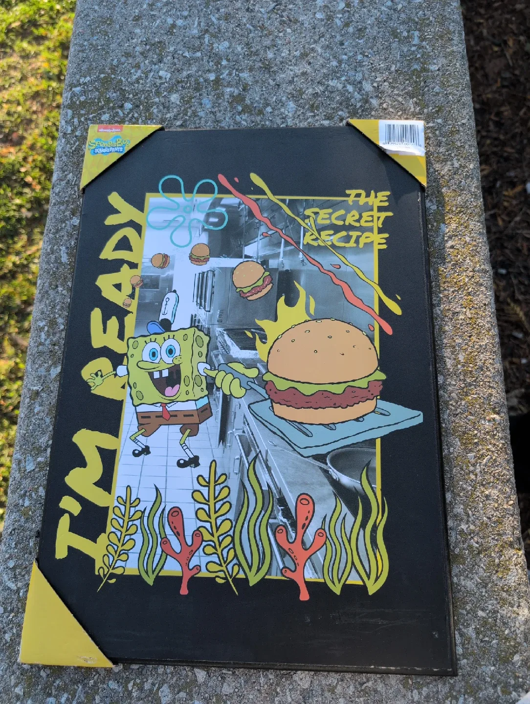 Spongebob Squarepants 'The Secret Recipe' Wall Decor