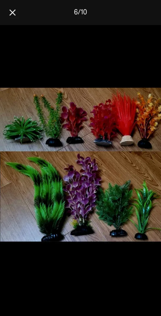 Fish Tank 5 1/2 gallons - Kit with EVERYTHING image indicator(6)