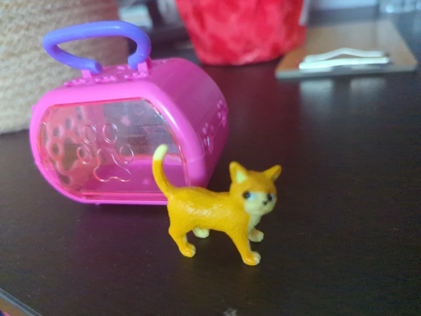 kitten with carrier thumbnail