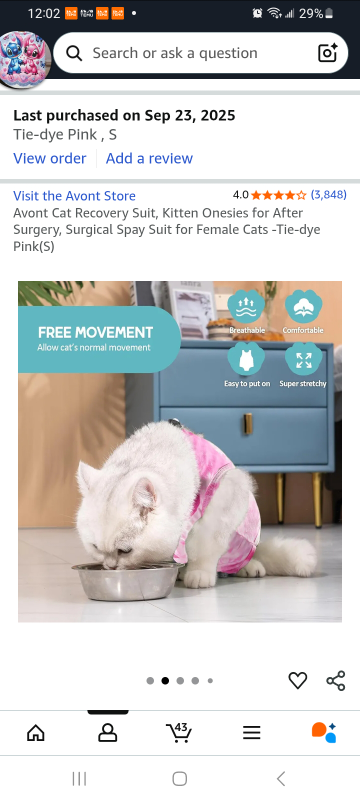 kitten surgical recovery bodysuit - photo 3