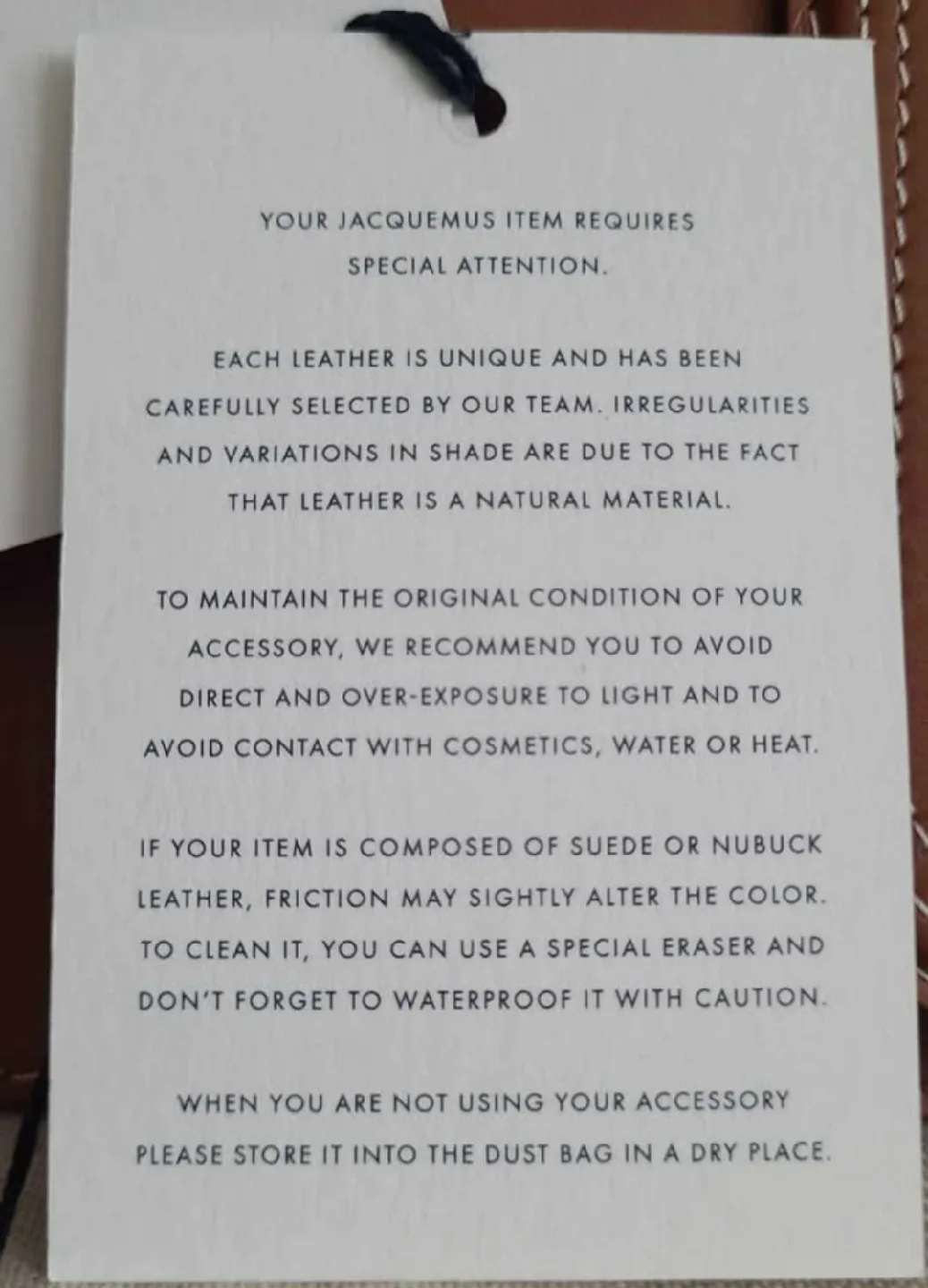 Jacquemus Le Grand Bambino Light Brown Bag image indicator(6)