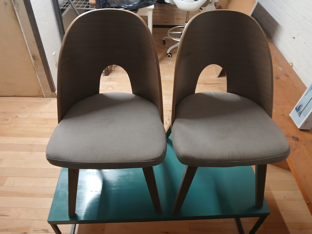 Set of 2 Modern Wood Dining Chairs
