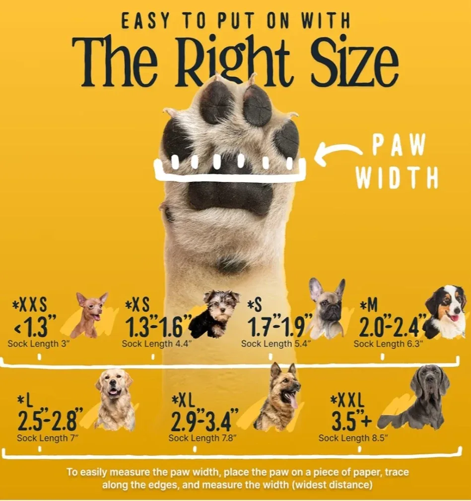 Grip Socks for Dogs image indicator(6)