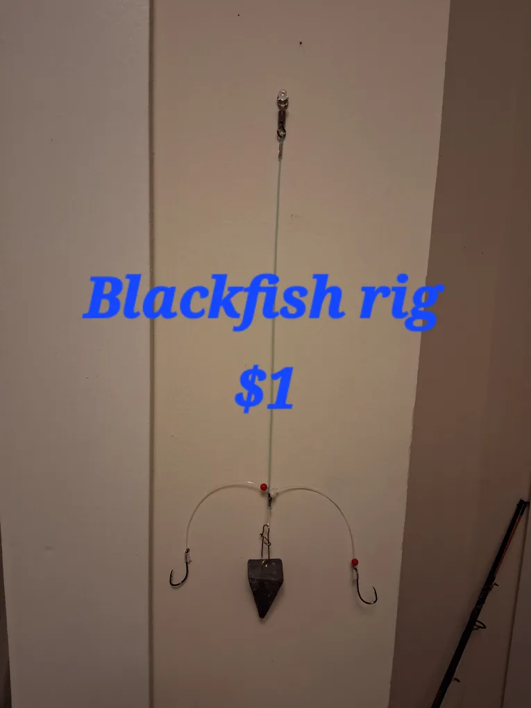 Blackfish Fishing Rig