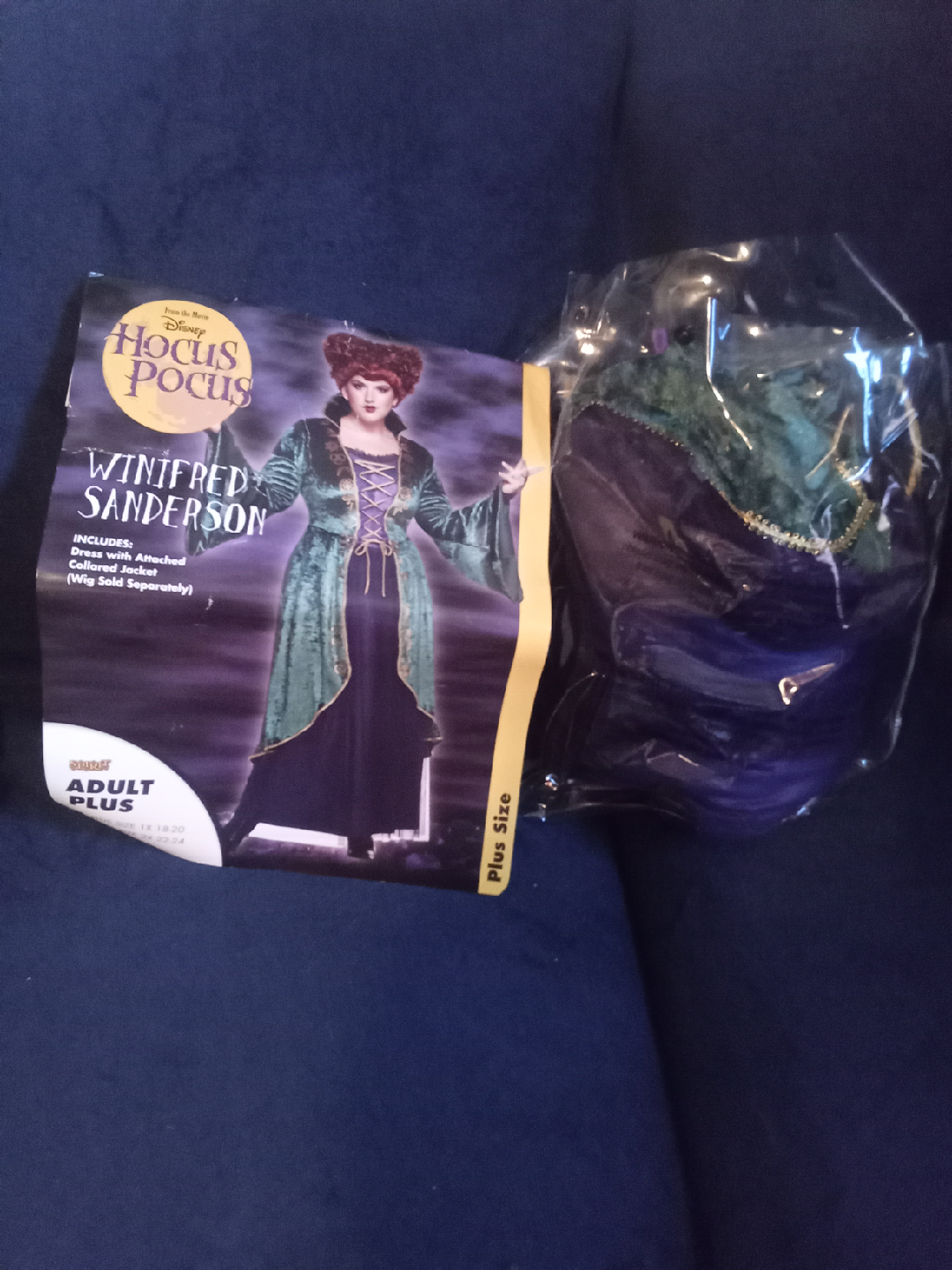 Hocus Pocus Winifred Sanderson Costume - Adult Plus Size