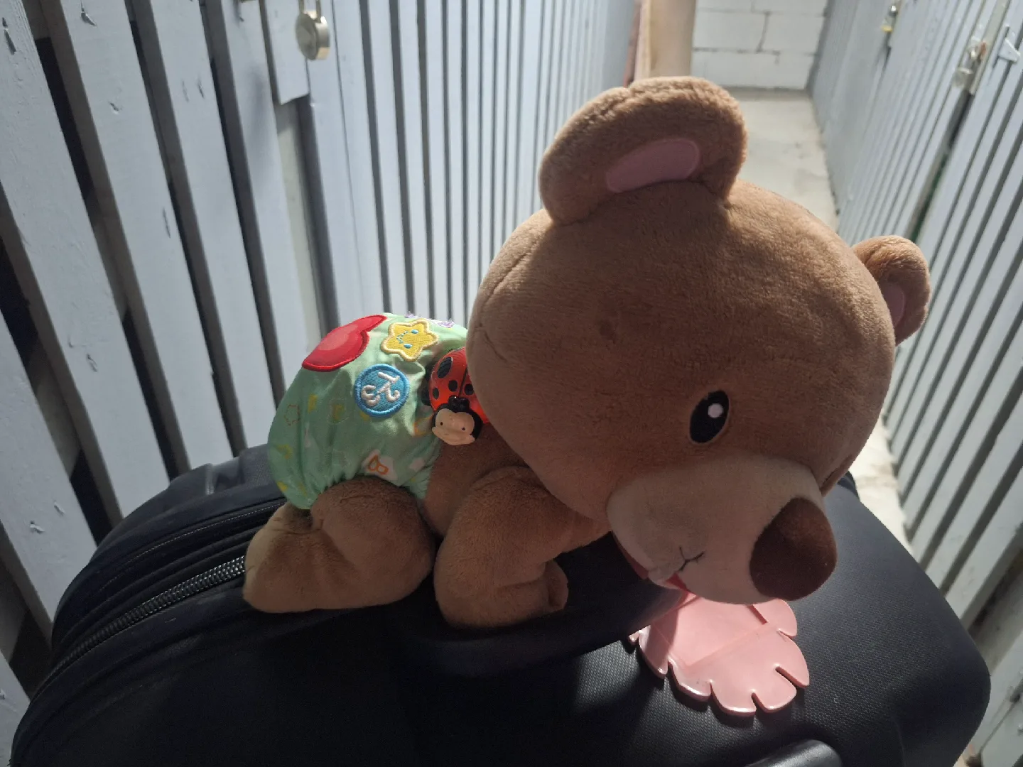 VTech Crawl and Learn Bear thumbnail