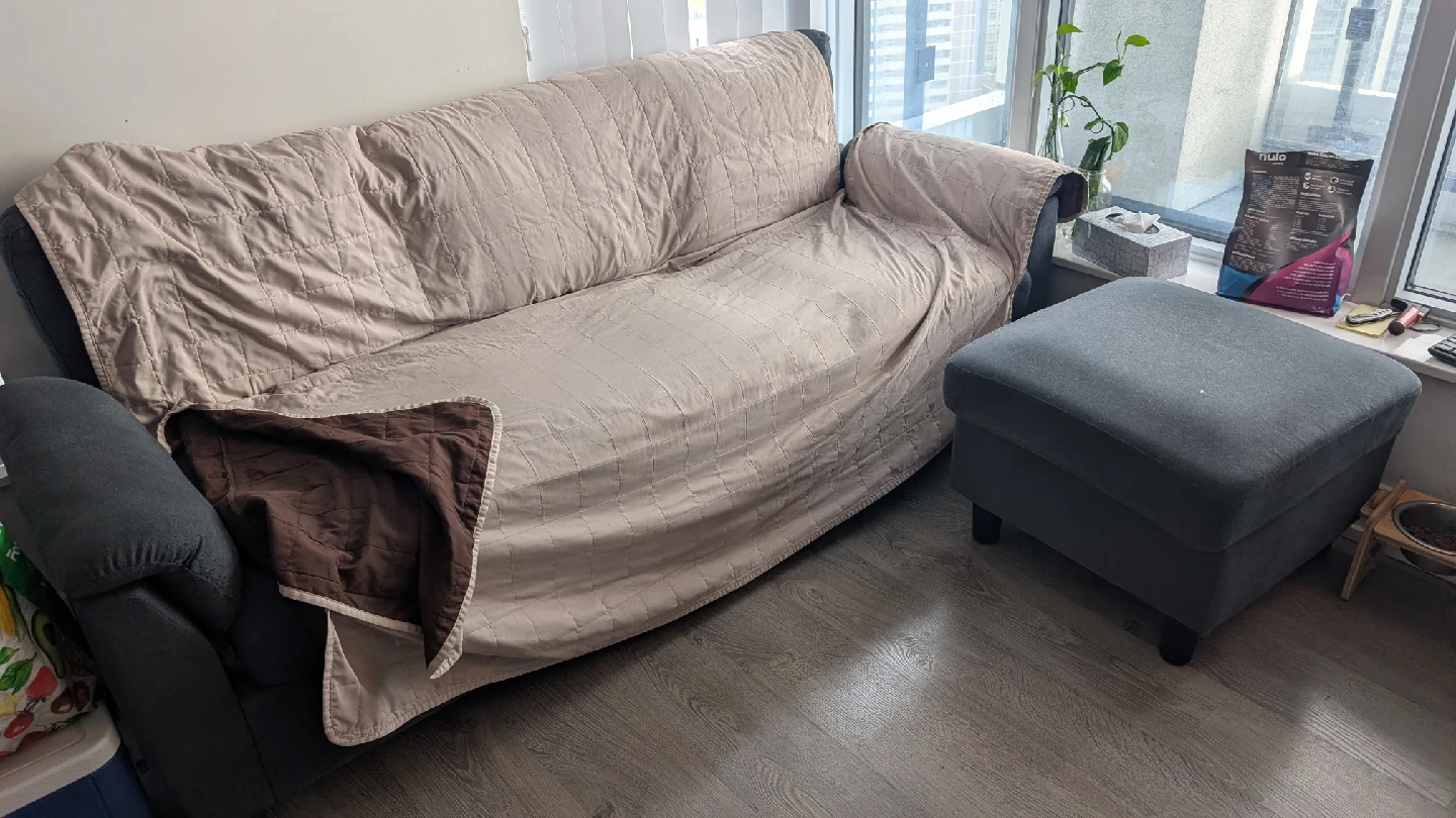 Grey Sofa and Ottoman Set - photo 4